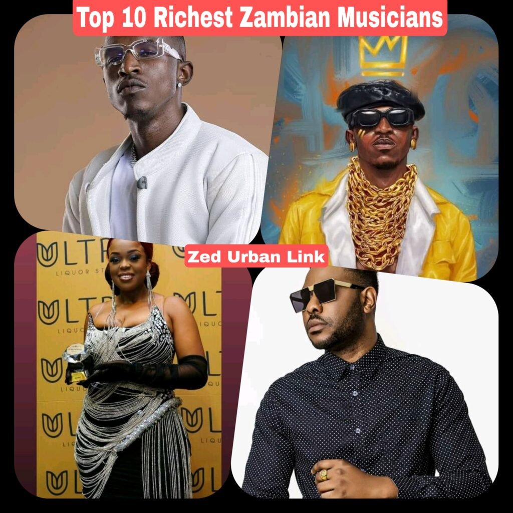 Top 10 Richest Musician In Zambia